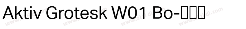 Aktiv Grotesk W01 Bo字体转换